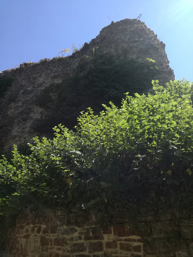 Ruine du chateau Franchimont (Belgique)